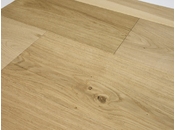 ΔΡΥΣ ΕΥΡΩΠΗΣ ΔΡΥΣ ΕΥΡΩΠΗΣ