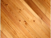 ΠΕΥΚΟ ΣΚΑΝΔΙΝΑΒΙΑΣ ΠΕΥΚΟ ΣΚΑΝΔΙΝΑΒΙΑΣ